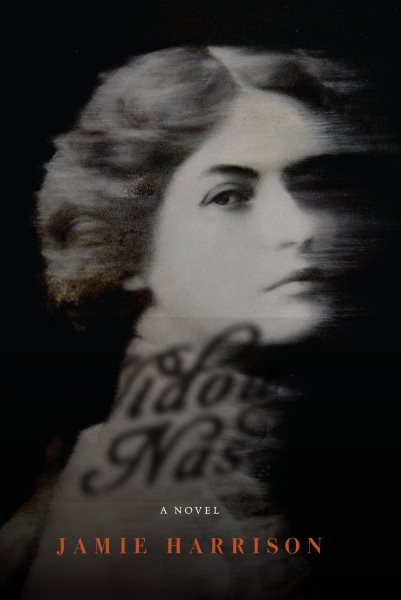 The Widow Nash: A Novel cover