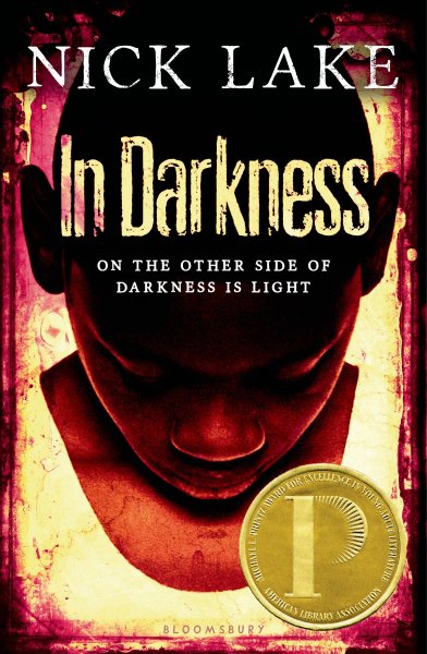 Holt McDougal Library: In Darkness cover
