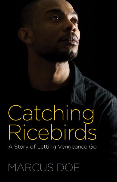 Catching Ricebirds: A Story of Letting Vengeance Go cover