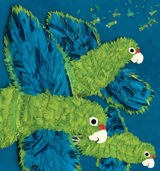 Parrots Over Puerto Rico (Americas Award for Children's and Young Adult Literature. Winner) cover
