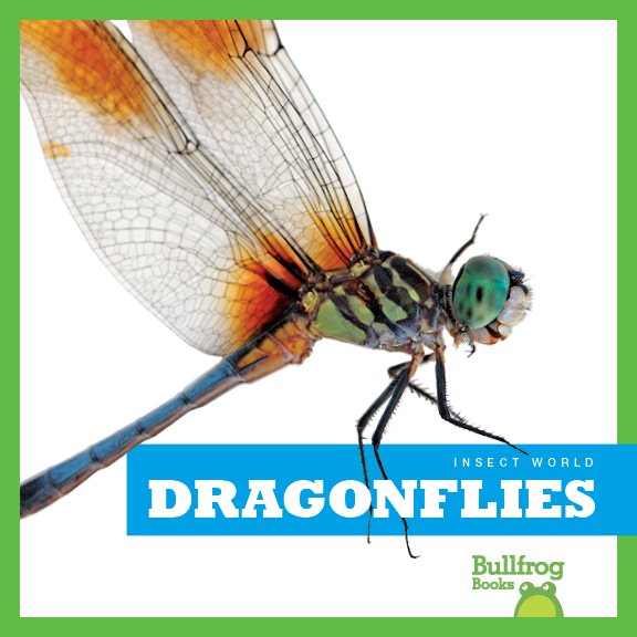 Dragonflies (Bullfrog Books: Insect World)