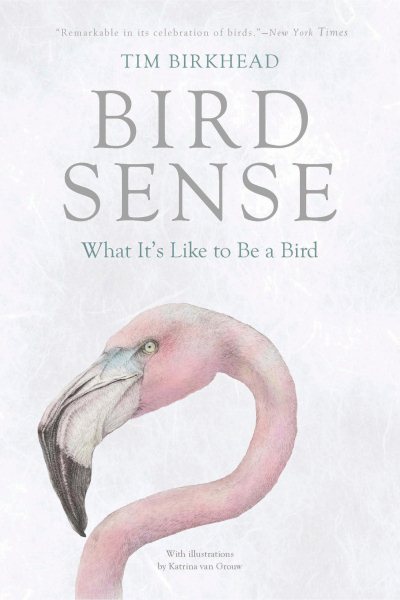Bird Sense: What It's Like to Be a Bird cover