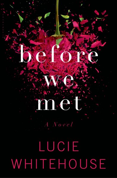 Before We Met: A Novel cover