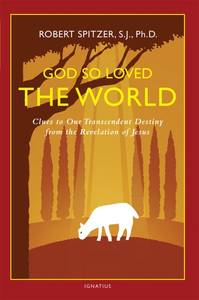 God So Loved the World: Clues to Our Transcendent Destiny from the Revelation of Jesus (Happiness, Suffering, and Transcendence) (Volume 3)