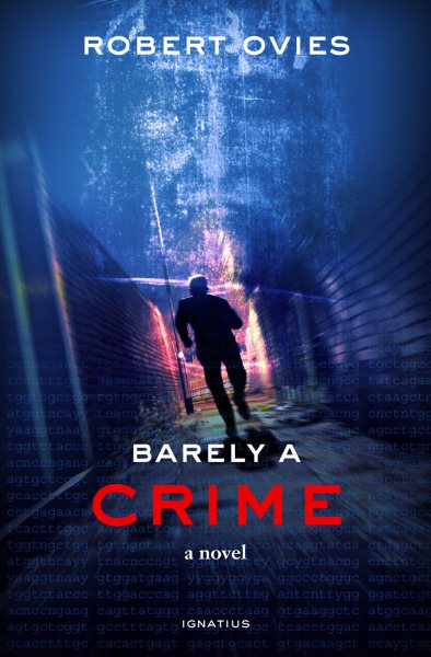 Barely a Crime: A Novel cover