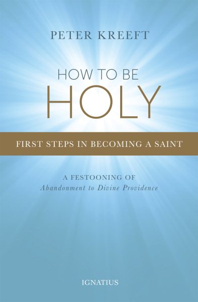 How to Be Holy: First Steps in Becoming a Saint cover