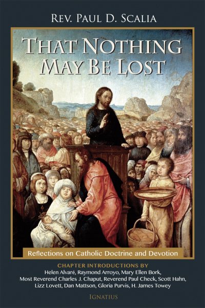 That Nothing May Be Lost: Reflections on Catholic Doctrine and Devotion cover