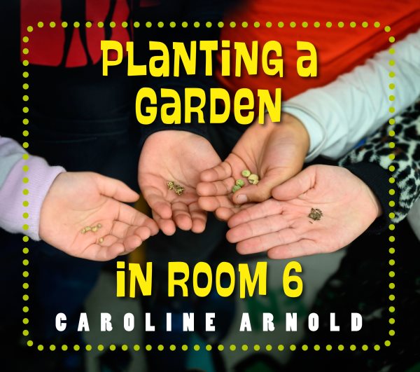 Planting a Garden in Room 6: From Seeds to Salad (Life Cycles in Room 6) cover