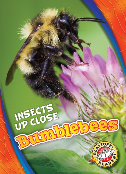 Bumblebees (Insects Up Close) cover