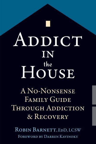 Addict in the House: A No-Nonsense Family Guide Through Addiction and Recovery cover