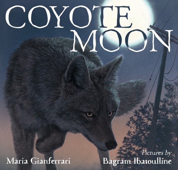 Coyote Moon cover