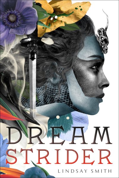 Dreamstrider cover