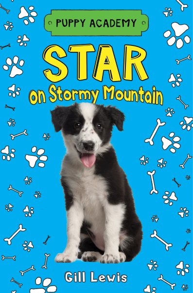 Star on Stormy Mountain (Puppy Academy, 2) cover