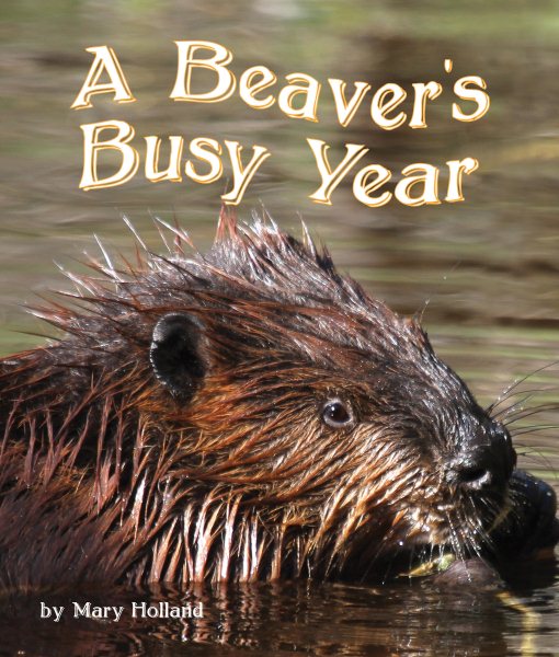 The Beavers' Busy Year cover