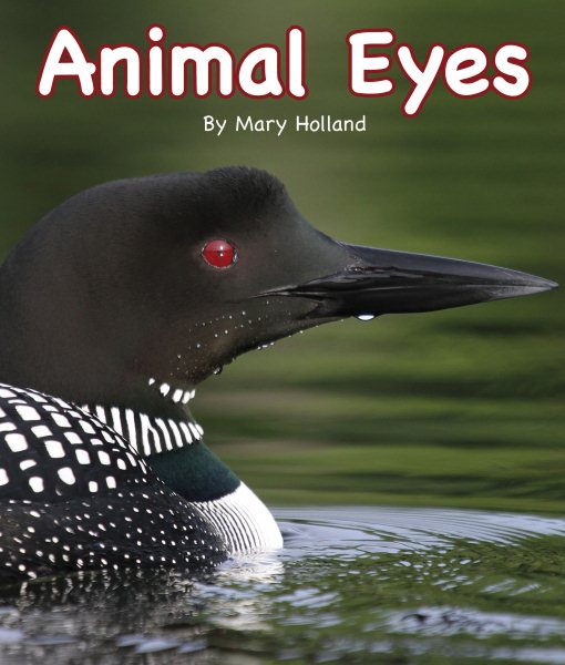 Animal Eyes (Arbordale Collection) cover