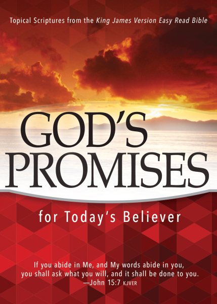 God's Promises for Today's Believer: Topical Scriptures from the King James Version Easy Read Bible cover
