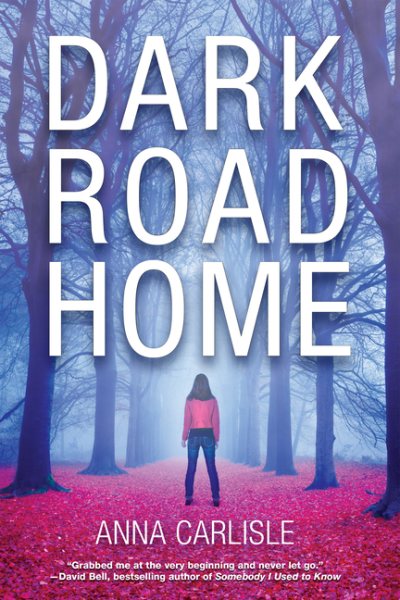 Dark Road Home: A Gin Sullivan Mystery cover