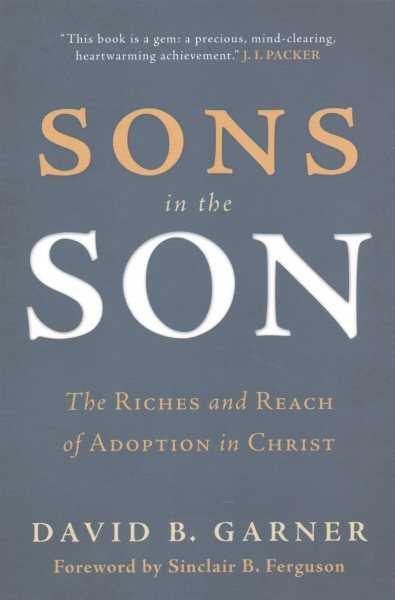 Sons in the Son: The Riches and Reach of Adoption in Christ cover