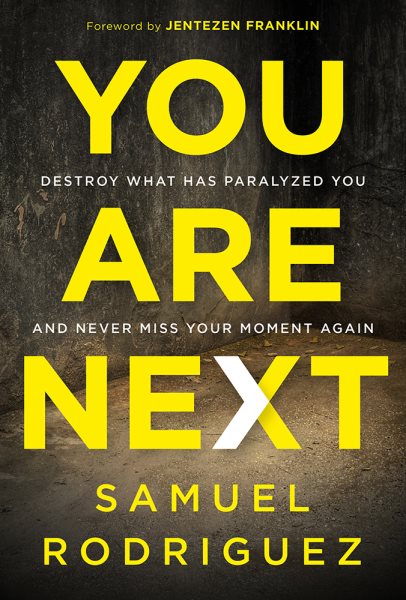 You Are Next: Destroy What Has Paralyzed You, and Never Miss Your Moment Again cover