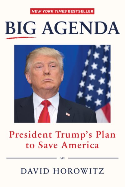 BIG AGENDA: President Trump's Plan to Save America cover
