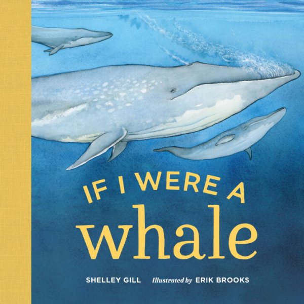 If I Were a Whale cover