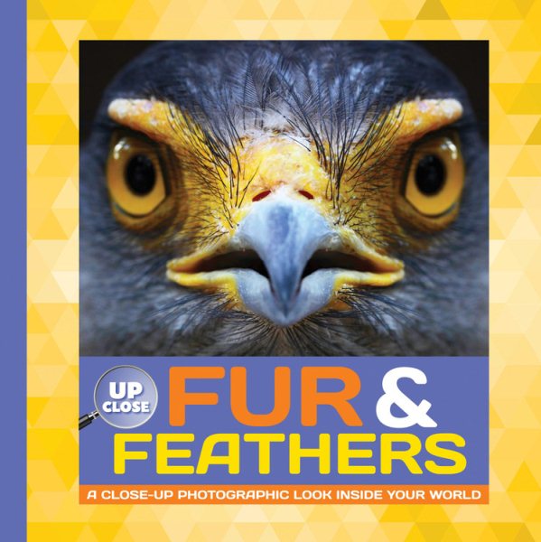 Fur & Feathers: A close-up photographic look inside your world (Up Close) cover