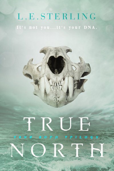 True North (True Born) cover