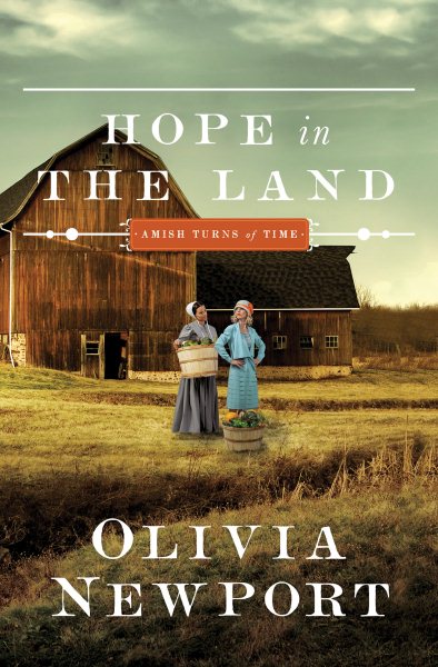 Hope in the Land (Volume 4) (Amish Turns of Time) cover