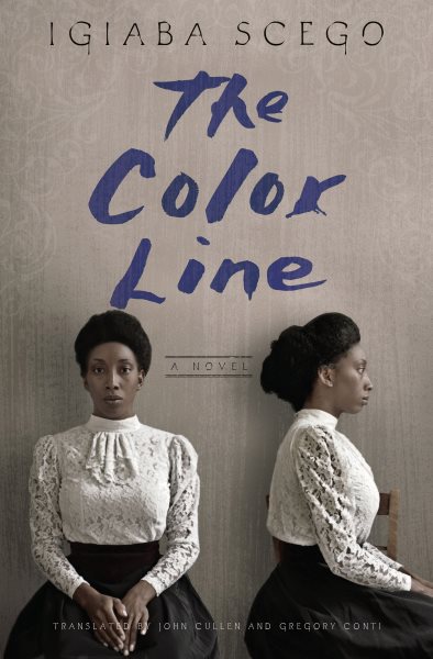 The Color Line: A Novel cover