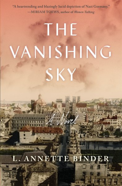 The Vanishing Sky cover