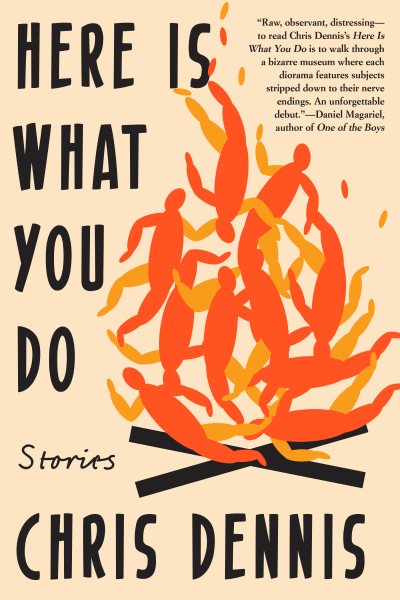 Here Is What You Do: Stories cover
