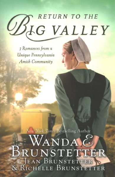 The Return to the Big Valley cover