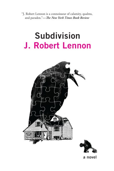 Subdivision: A Novel cover