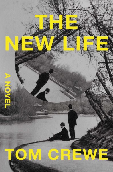 The New Life: A Novel cover