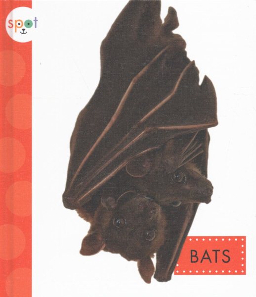 Bats (Spot Backyard Animals) cover