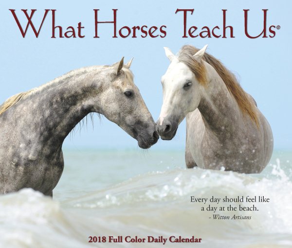 What Horses Teach Us 2018 Calendar cover