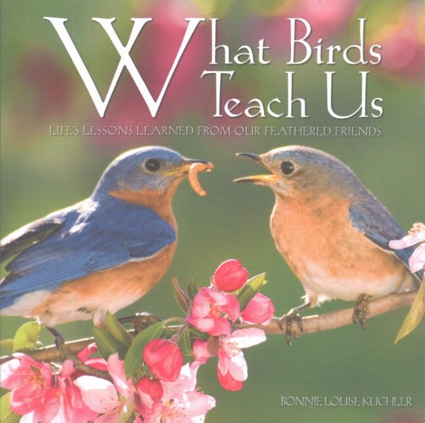 What Birds Teach Us cover