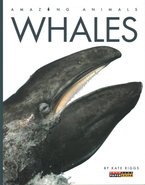 Whales (Amazing Animals) cover