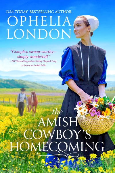 The Amish Cowboy’s Homecoming (Honey Brook, 2) cover