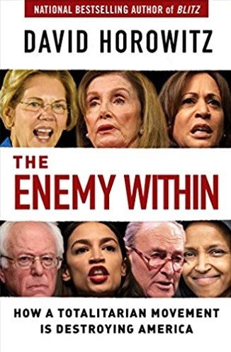 The Enemy Within: How a Totalitarian Movement is Destroying America cover