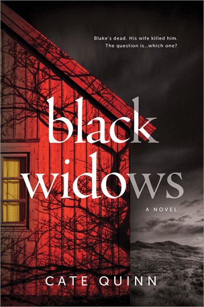 Black Widows: A Domestic Thriller cover