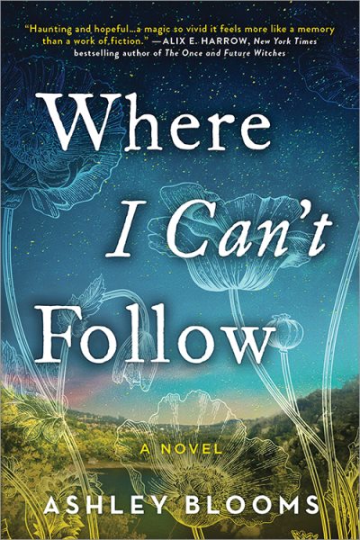 Where I Can't Follow: A Novel cover