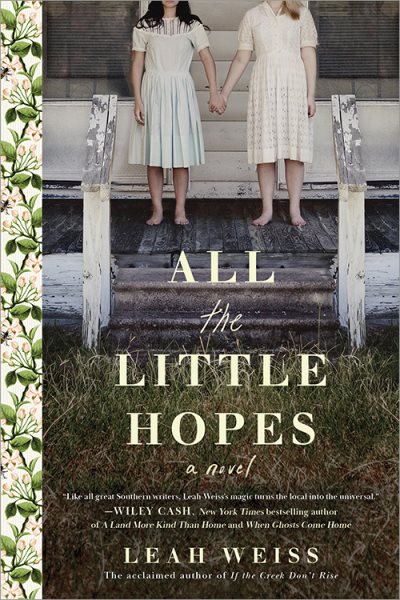 All the Little Hopes: A Novel cover