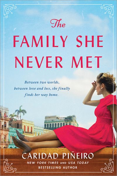 The Family She Never Met: A Novel cover