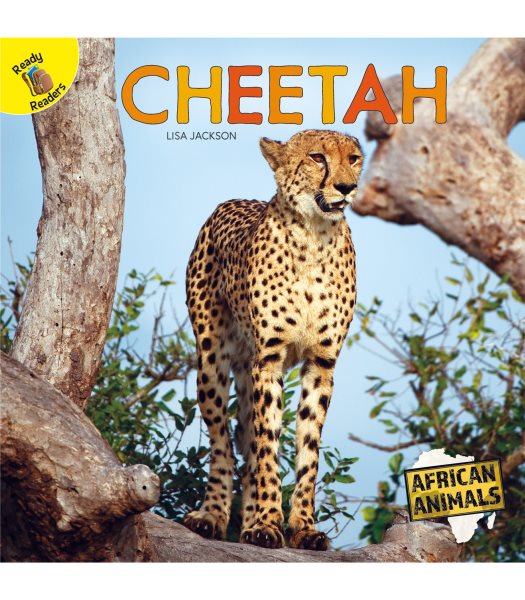 Rourke Educational Media African Animals Cheetah Reader cover