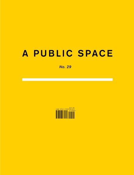 A Public Space No. 29 cover