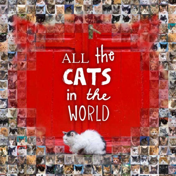 All the Cats in the World cover