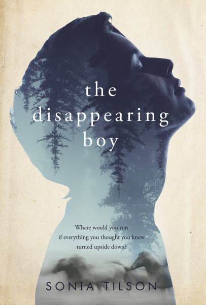 The Disappearing Boy cover
