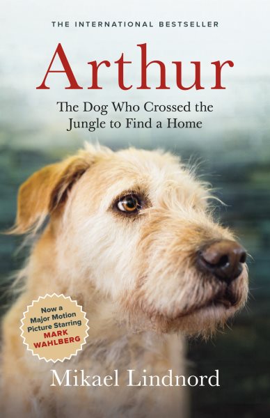 Arthur: The Dog who Crossed the Jungle to Find a Home ((Now the Film Arthur the King)) cover