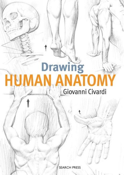 Drawing Human Anatomy cover